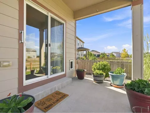 Exterior - 904 Charlton Dr, Windsor, CO 80550 photo 5 of 12