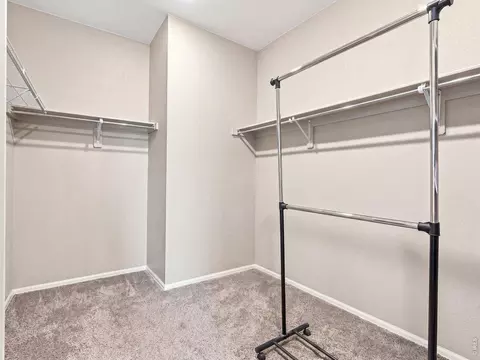 Other - 904 Charlton Dr, Windsor, CO 80550 photo 3 of 6
