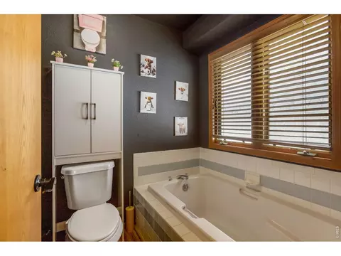 Bath - 3312 Carson Ave, Evans, CO 80620 photo 2 of 5