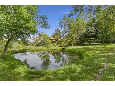 5153 Single Tree Dr, Loveland, CO 80537