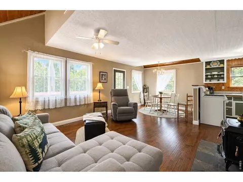 Living - 745 Hickory Dr, Lyons, CO 80540 photo 5 of 8