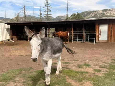 Other - 745 Hickory Dr, Lyons, CO 80540 photo 8 of 11