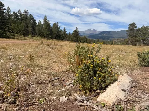 Other - 745 Hickory Dr, Lyons, CO 80540 photo 11 of 11