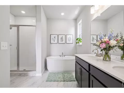 Bath - 348 Rustic Barn Ln, Berthoud, CO 80513 photo 2 of 2
