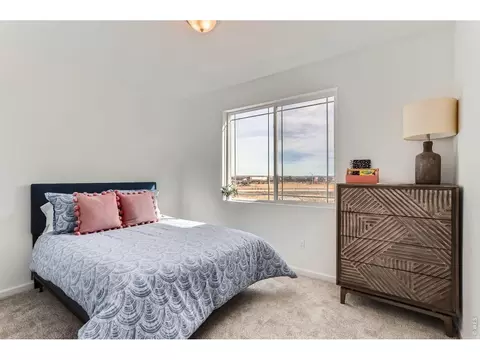 Bedroom - 641 Noola St, Windsor, CO 80550 photo 4 of 5