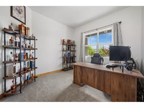Other - 1584 Thundercloud Dr, Windsor, CO 80550 photo 4 of 12