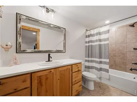 Bath - 1584 Thundercloud Dr, Windsor, CO 80550 photo 3 of 3