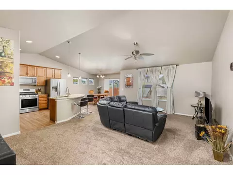 Living - 161 E Ilex Ct, Milliken, CO 80543 photo 1 of 4