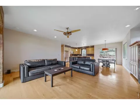 Living - 621 1st Ave, Lyons, CO 80540 photo 4 of 4