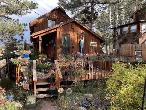131 S Jackson St, Nederland, CO 80466