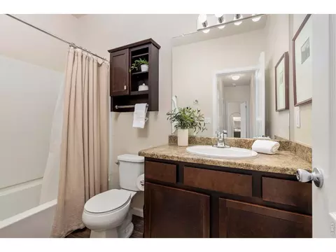 Bath - 973 Ranchhand Dr, Berthoud, CO 80513 photo 3 of 3