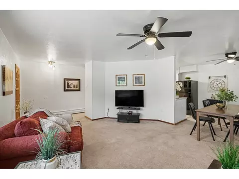 Living - 515 7th St, Windsor, CO 80550 photo 4 of 4