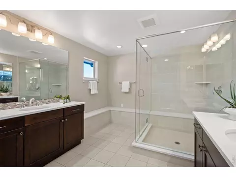 Bath - 7945 E Prairie Meadow Dr, Denver, CO 80238 photo 2 of 5