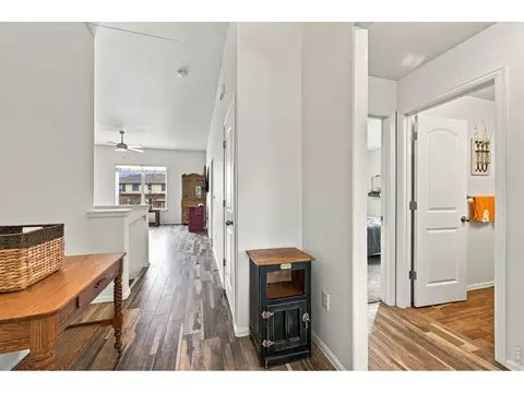 909 Ponderosa Dr, Severance, CO 80550