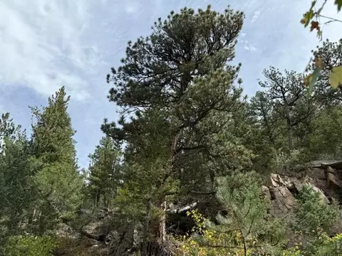 555 Riverside Dr, Lyons, CO 80540 photo 3