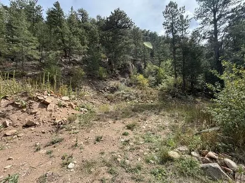 555 Riverside Dr, Lyons, CO 80540 photo 7