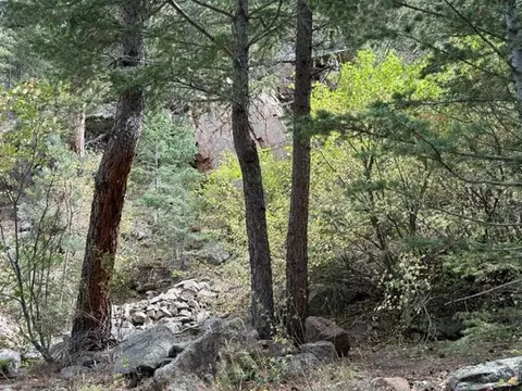 555 Riverside Dr, Lyons, CO 80540 photo 4
