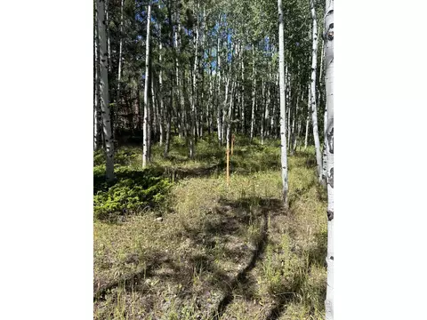 75 Overland Dr, Ward, CO 80481 photo 8