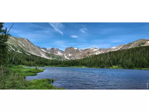 75 Overland Dr, Ward, CO 80481 photo 7