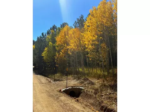 75 Overland Dr, Ward, CO 80481 photo 3