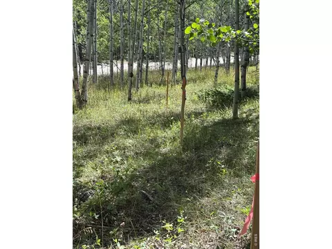 75 Overland Dr, Ward, CO 80481 photo 9
