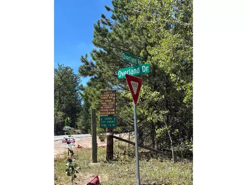 75 Overland Dr, Ward, CO 80481 photo 5