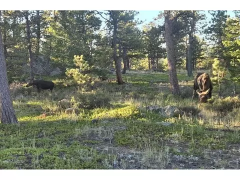 18677 State Highway 7, Lyons, CO 80540 photo 6