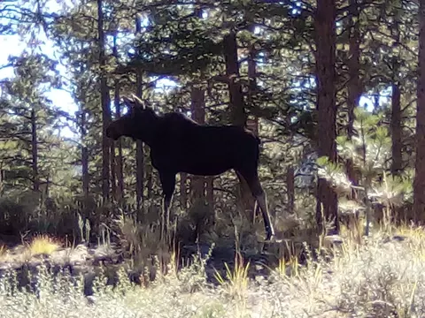 18677 State Highway 7, Lyons, CO 80540 photo 3