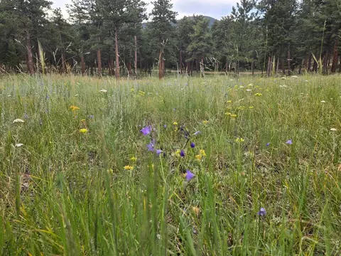 18677 State Highway 7, Lyons, CO 80540 photo 5