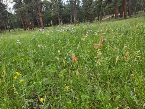 18677 State Highway 7, Lyons, CO 80540 photo 2