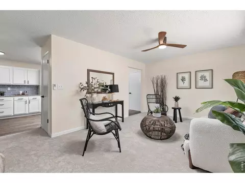 Living - 550 10th St, Windsor, CO 80550 photo 2 of 4