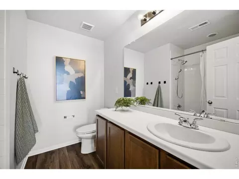 Bath - 6525 Dry Fork Cir, Frederick, CO 80516 photo 4 of 4