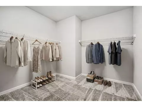 Other - 659 Noola St, Windsor, CO 80550 photo 1 of 5