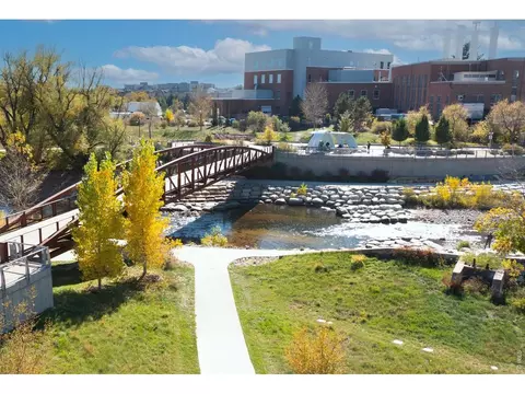 View/Area - 659 Noola St, Windsor, CO 80550 photo 5 of 5