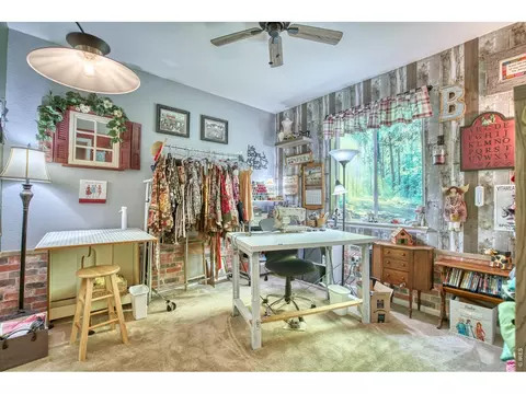 Other - 12534 Shore Point St, Longmont, CO 80504 photo 1 of 9