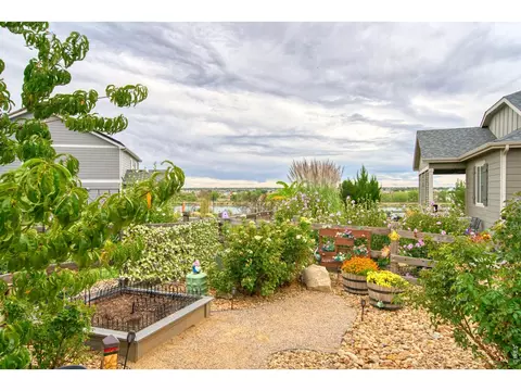 Exterior - 12534 Shore Point St, Longmont, CO 80504 photo 5 of 10