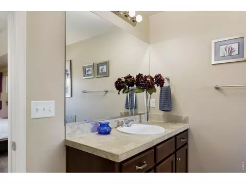 Bath - 8709 Tack St, Longmont, CO 80504 photo 8 of 10