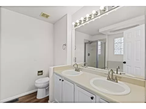 Bath - 19965 Mitchell Pl, Denver, CO 80249 photo 1 of 4