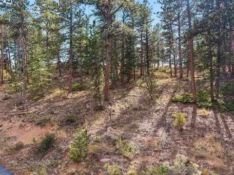 tbd Juniper Ct, Red Feather Lakes, CO 80545 photo 13