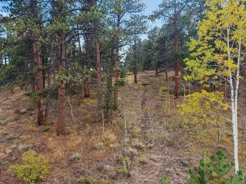 tbd Juniper Ct, Red Feather Lakes, CO 80545 photo 11