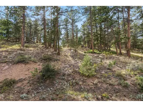 tbd Juniper Ct, Red Feather Lakes, CO 80545 photo 12
