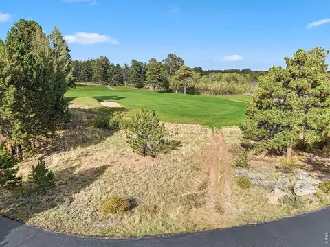 tbd Juniper Ct, Red Feather Lakes, CO 80545 photo 3