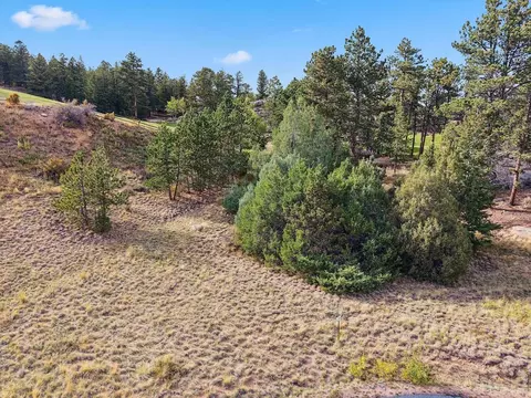 tbd Juniper Ct, Red Feather Lakes, CO 80545 photo 6