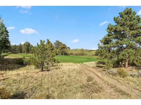 tbd Juniper Ct, Red Feather Lakes, CO 80545 photo 14