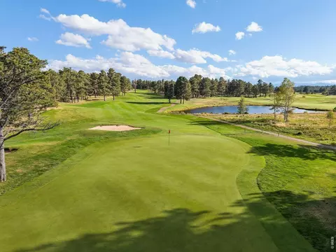 tbd Juniper Ct, Red Feather Lakes, CO 80545 photo 2