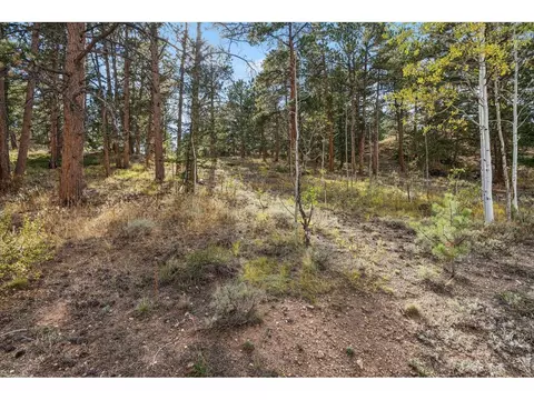 tbd Juniper Ct, Red Feather Lakes, CO 80545 photo 9
