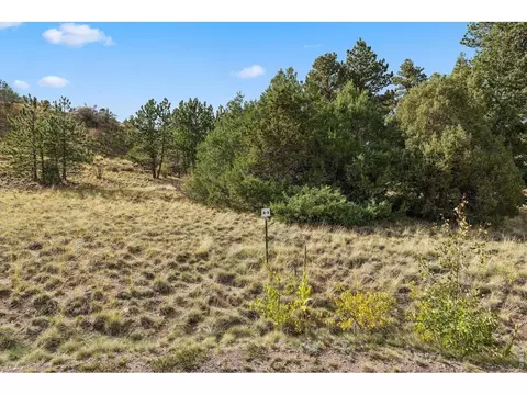 tbd Juniper Ct, Red Feather Lakes, CO 80545 photo 4