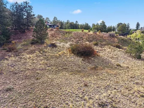 tbd Juniper Ct, Red Feather Lakes, CO 80545 photo 7