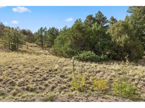 tbd Juniper Ct, Red Feather Lakes, CO 80545 photo 15