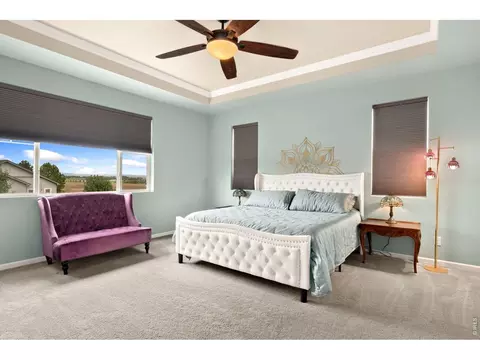 Bedroom - 6101 Chesney Ct, Windsor, CO 80550 photo 6 of 8